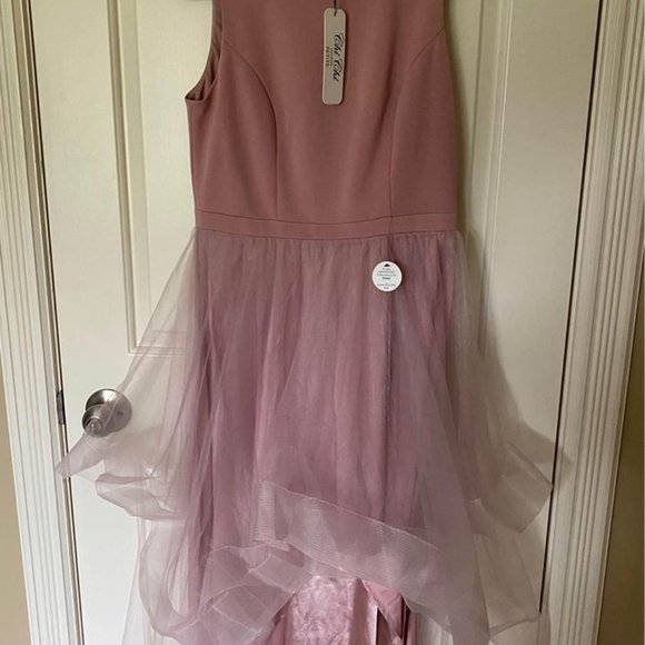 NWT CHI CHI LONDON PINK HIGH LOW DRESS (US SIZE 6 / MED) PETITE - Picture 6 of 10